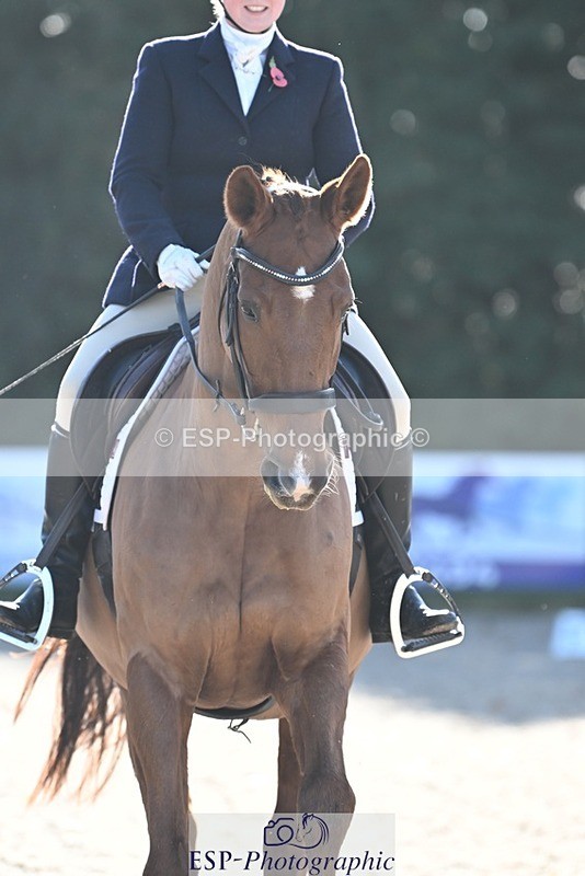 231110-121837-00640 - Cls 3 Novice 22