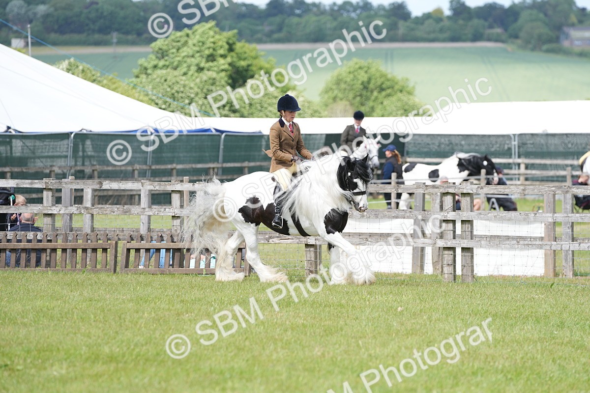 SBM_17241 - Class 107-108 - LIHS BSPS Performance Coloured Horse Pony