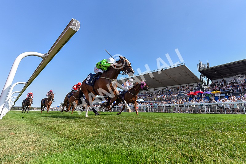 130826-Race 4-Shazani-5140 - Race 4 15.45pm Connexin Super Fast Sprint Handicap