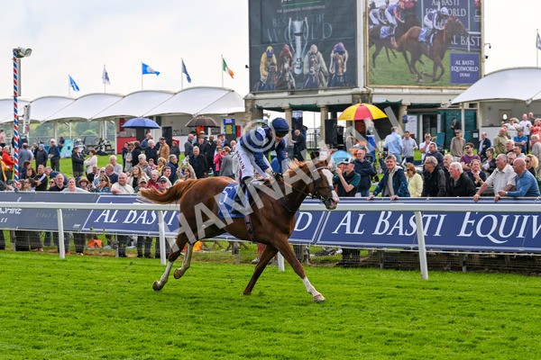160524-Race 4-Economics-5982 - Race 4 3.45pm Al Basti Equiworld Dubai Dante Stakes