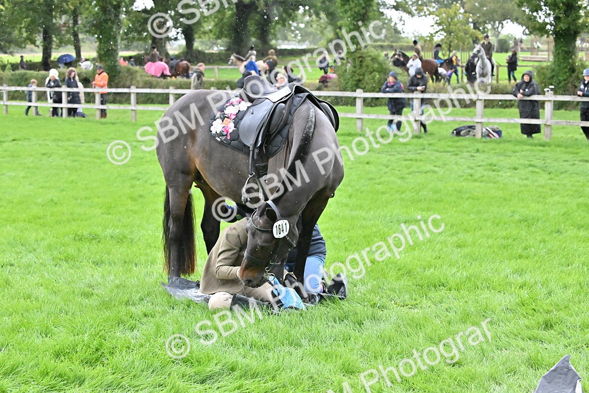 SBM_42936 - S12 - Family Horse & Pony