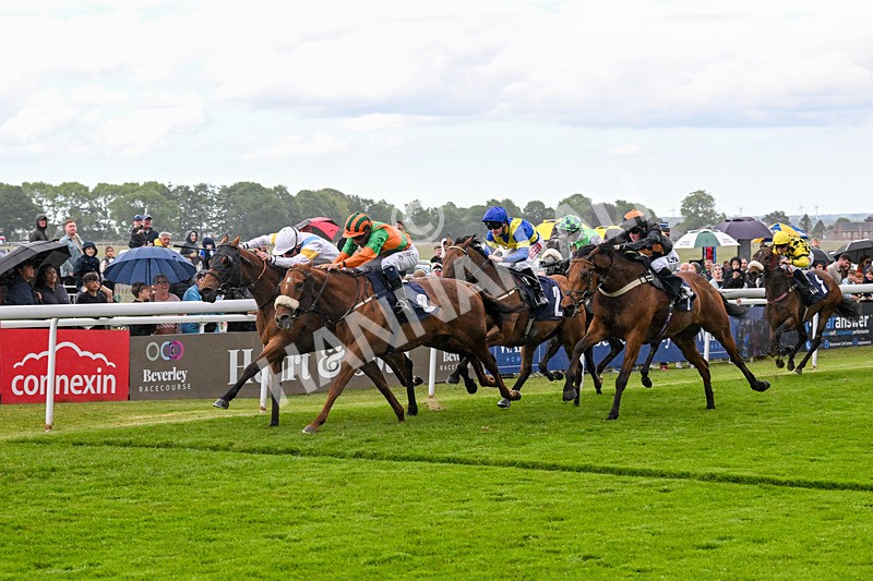 280525-Race 5-Hostelry-5616 - Race 5