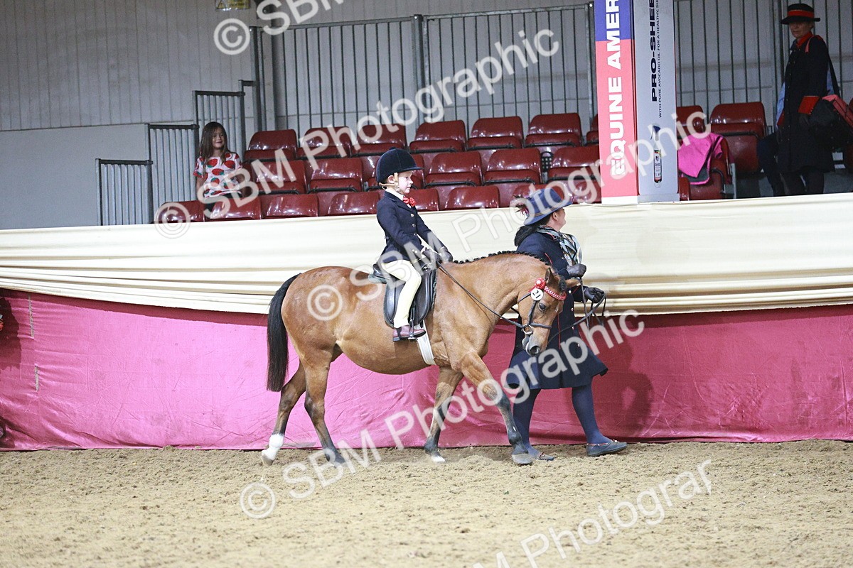 SBM_07980 - Class 11R - Regional Ridden Veteran