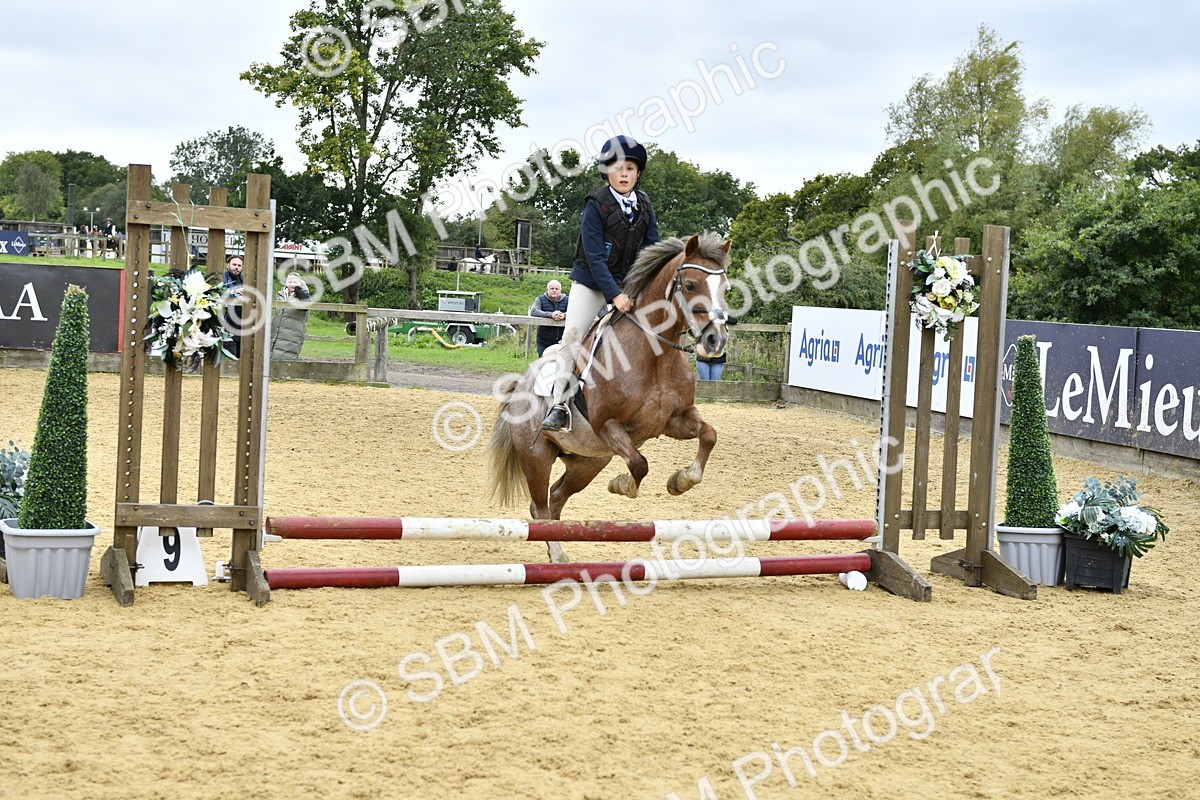 SBM_68010 - J2b - Mini Tour Junior Pony 30cm championship