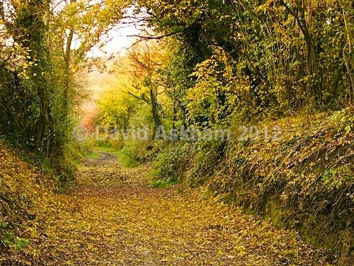 Historic track - Autumn