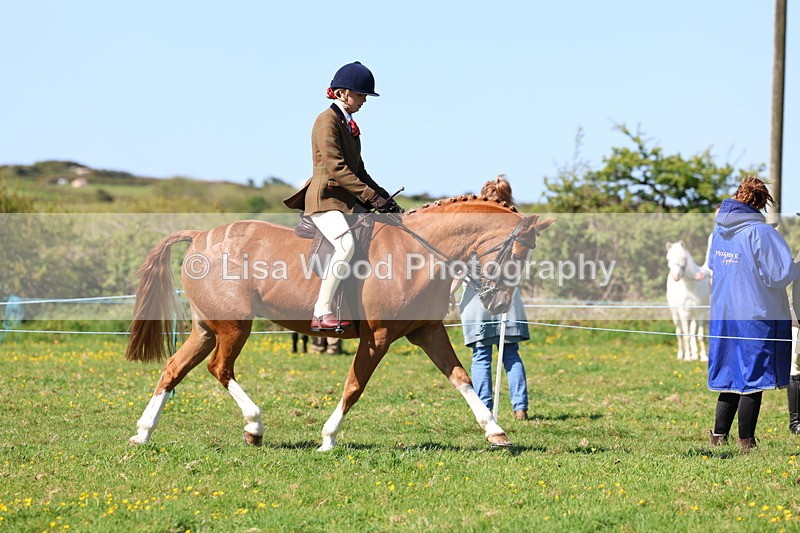 3E7A9588 - Class 4: Best Combination Senior