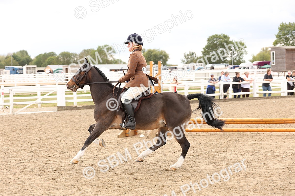 SBM_06203 - Class 57b -  Style & Performance - 60cm (20+)