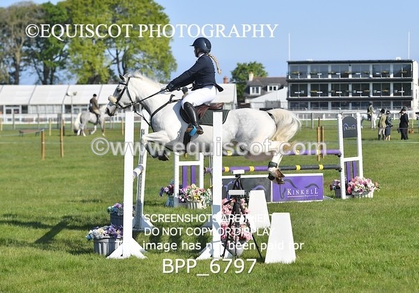 BPP_6797 - CLASS 1 Senior Newcomers/ 1.10m Open