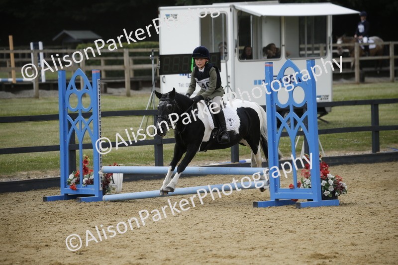 20250622-4056 - 50cm