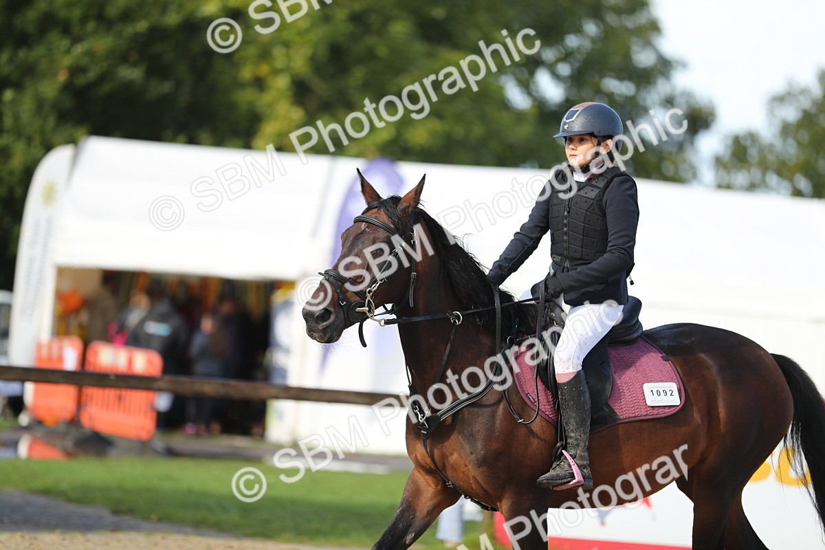 SBM_37340 - J20 - Junior Horse 50cm Championship
