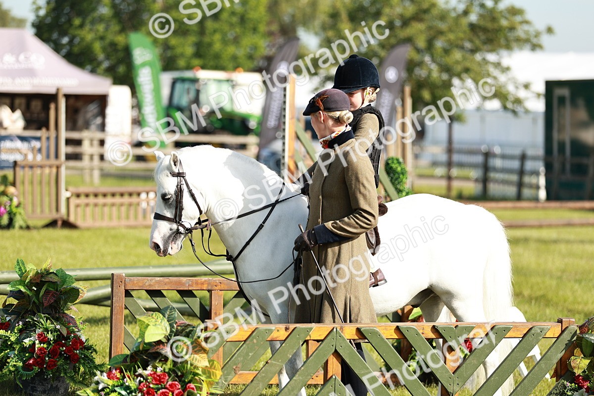 SBM_11260 - Class 106-107 - BSPS LIHS Working Sports Pony