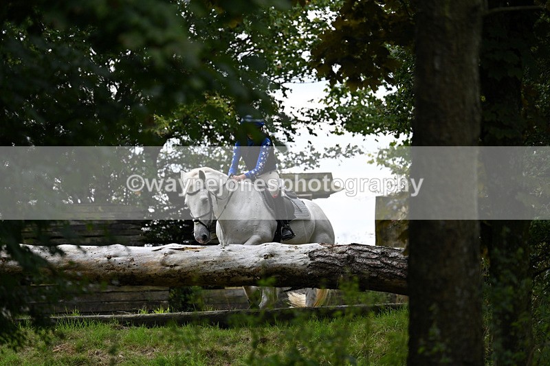 WJ7_8269 - Time 14:11 to 14:30