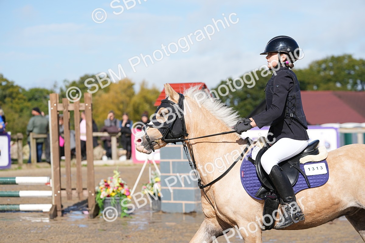 SBM_38492 - J6 - Junior Pony 55cm Championship
