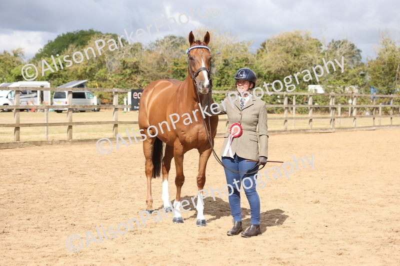 20260831-1994 - Class 5 - Retraining of Racehorses