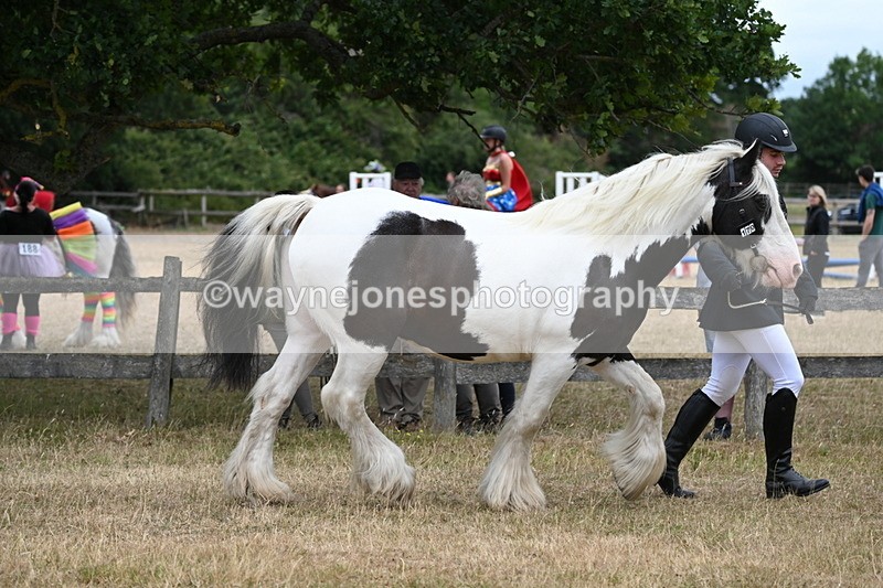 WJ6_8348 - Class 10 Coloured in Hand