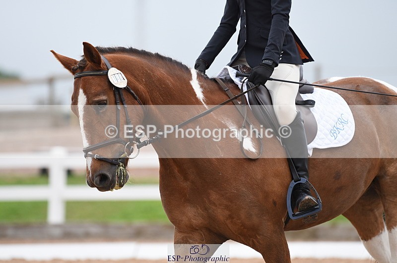 230708A-112240-01561 - Prelim 7