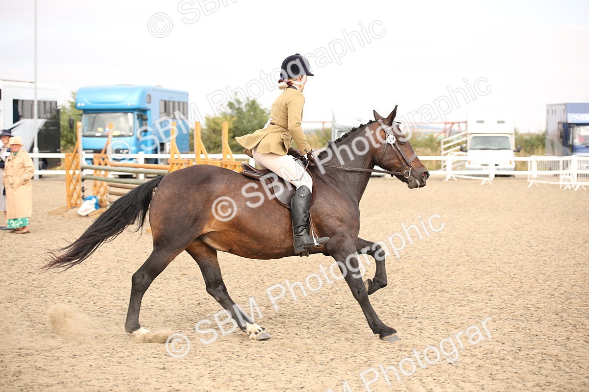 SBM_16227 - Class 409a - Working Veteran 80cm (15-19)