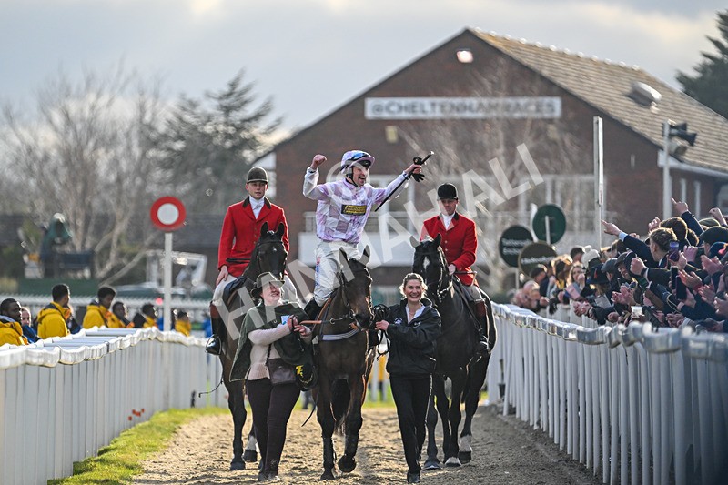 110325-Race 5-Golden Ace-3268 - 11th March