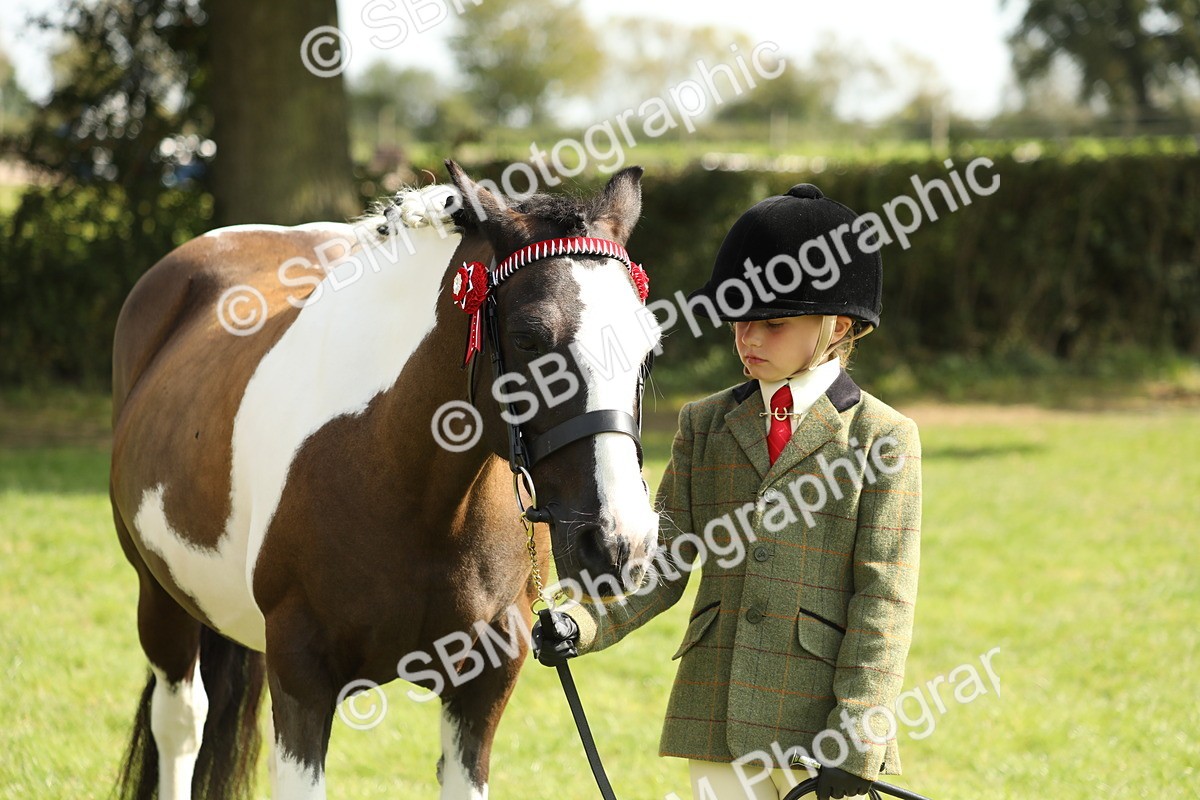 SBM_67791 - S39 - Junior Handler 8  Years & Under
