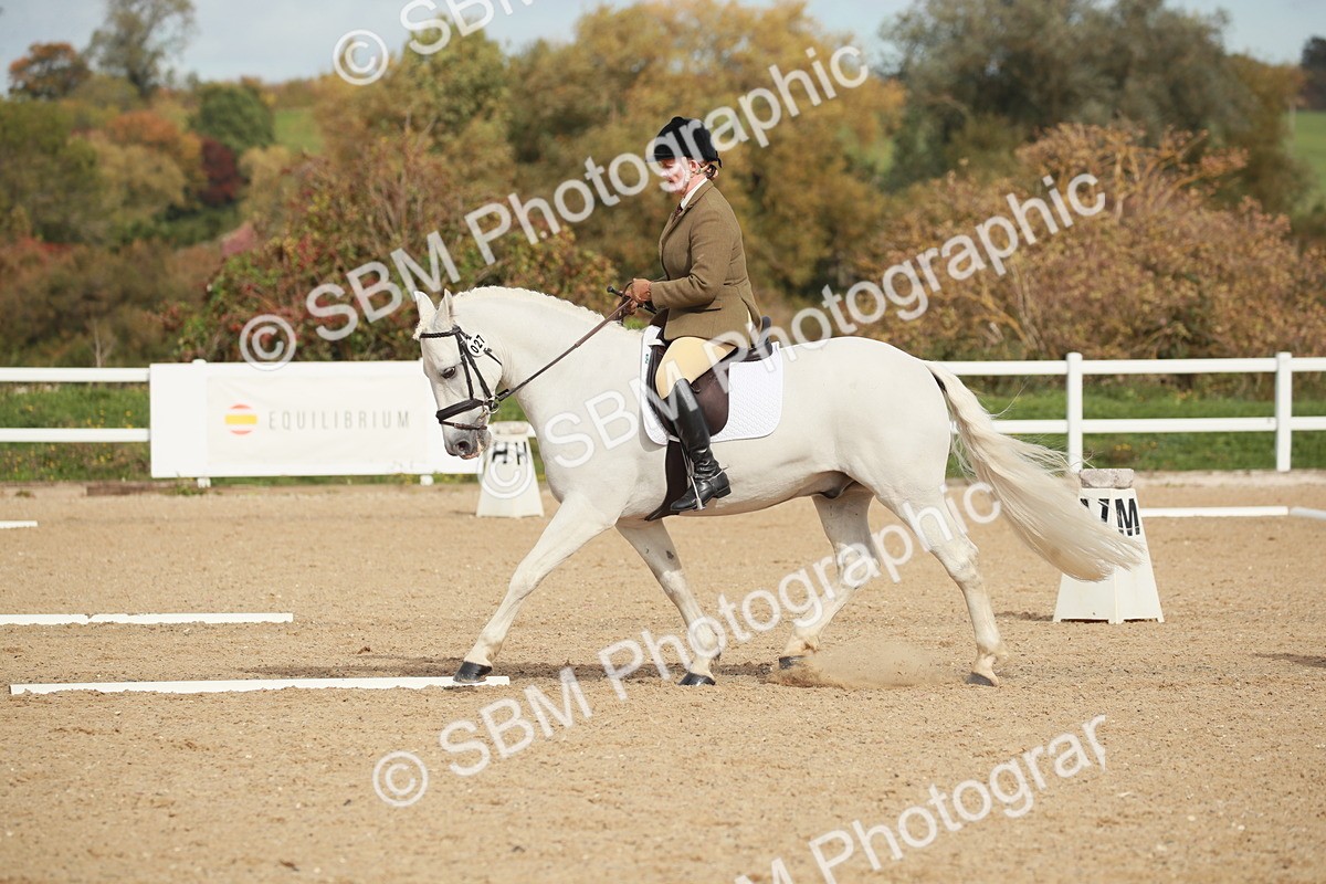 SBM_002223 - Class 6 - Elementary 5