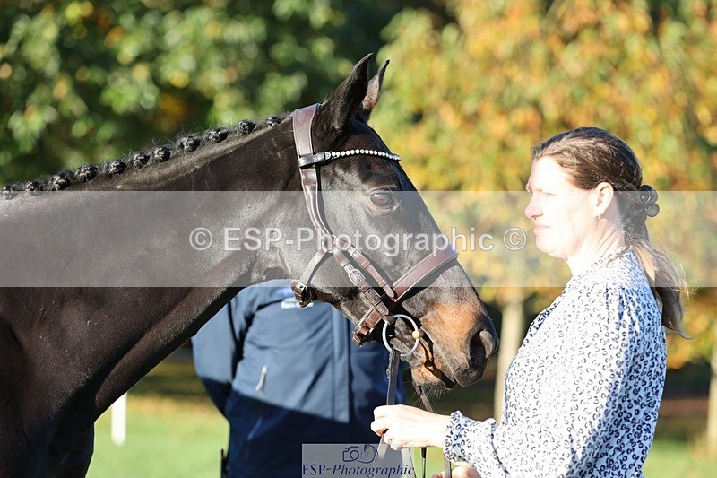 241027-083609-14684 - 329-Lisa.Donner-NOTNOWBABE