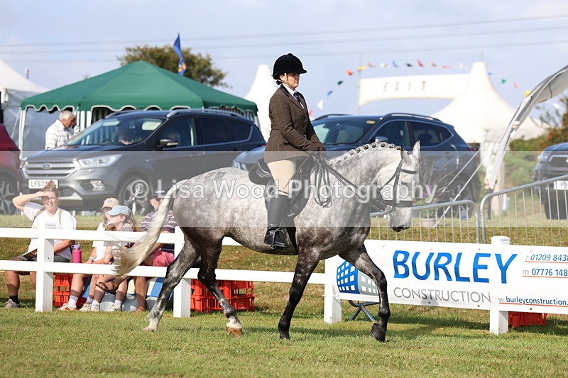 3E7A8518 - Class 3: Rising Star S/L Hunter