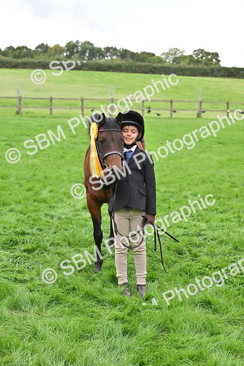 SBM_61081 - S48 - Mountain & Moorland In Hand Small Breeds