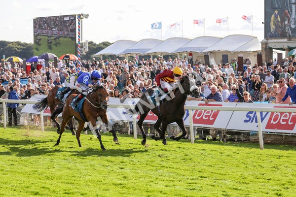 240824-Race 6-Tropical Storm-9208 - Race 6 4.45pm Julia Graves Roses Stakes