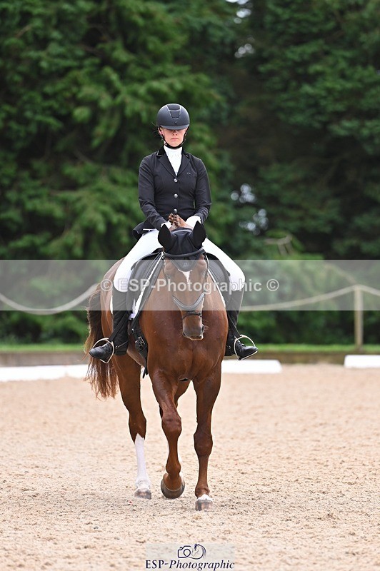 240809-121834-00734 - 185-Daisy.Hedges-Felicia.v