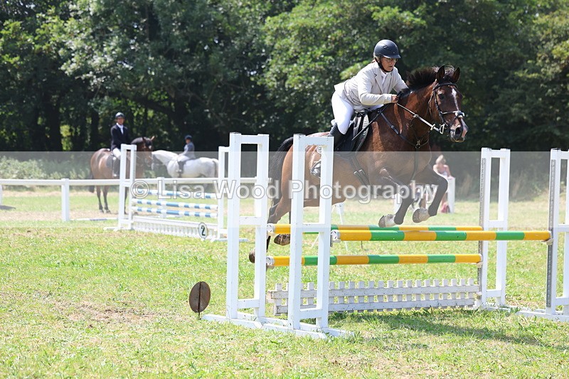 3E7A2860 - Class 7: Senior British Novice/90cm open
