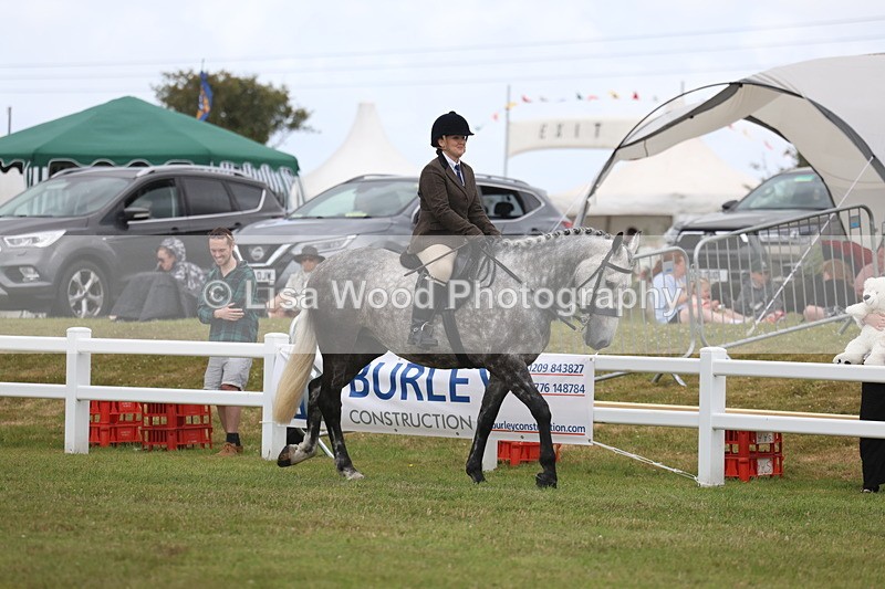 3E7A1356 - Class 9: Open Hunter