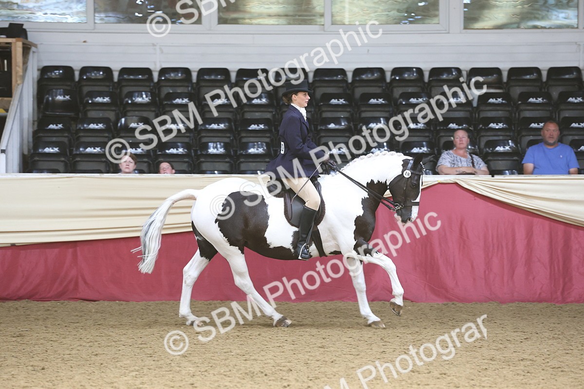 SBM_23761 - class 906 - Supreme Final - Ridden Pre Vet