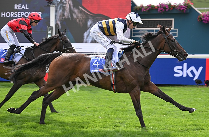 190826-195 Small Fry - Race 5 16.10pm Sky Bet Stayers Handicap