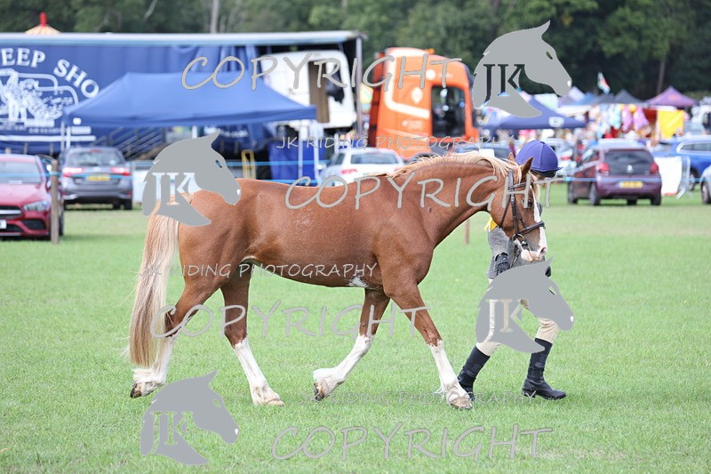 APP_2685 - Class 9 Veterans in hand
