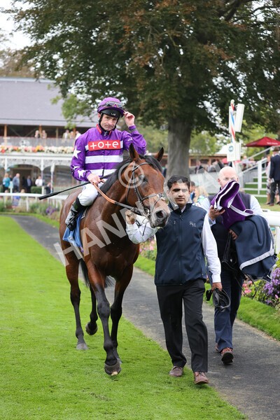yr09102021r1-54 - Race 1 1.30pm Watch Racing Free Online At Coral Nursery Handicap