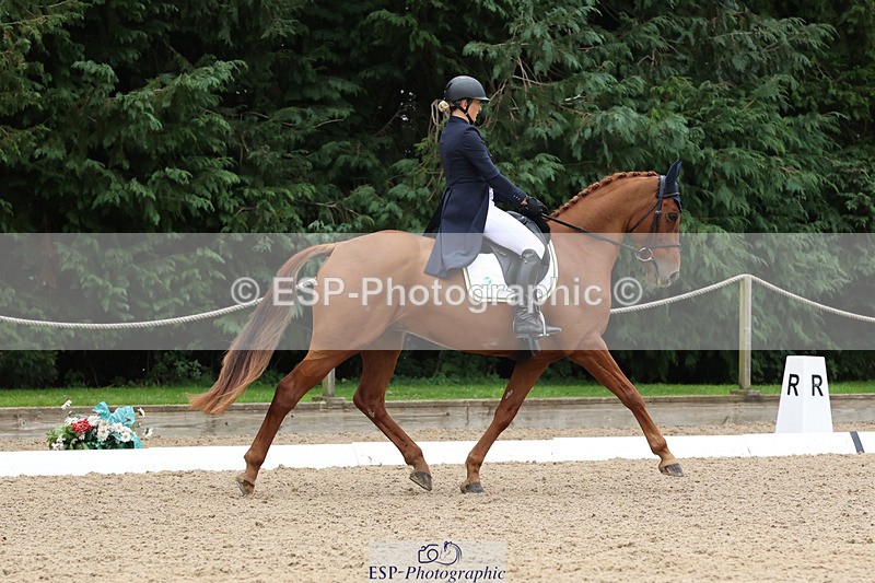 241024-141107-04023 - 239-Lissa.Green-KILLBUNNY.ANDY