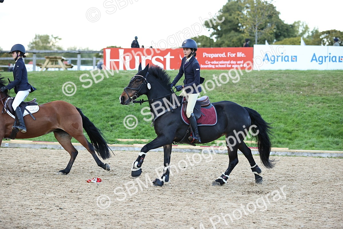 SBM_54469 - Supreme Championship 70cm 75cm