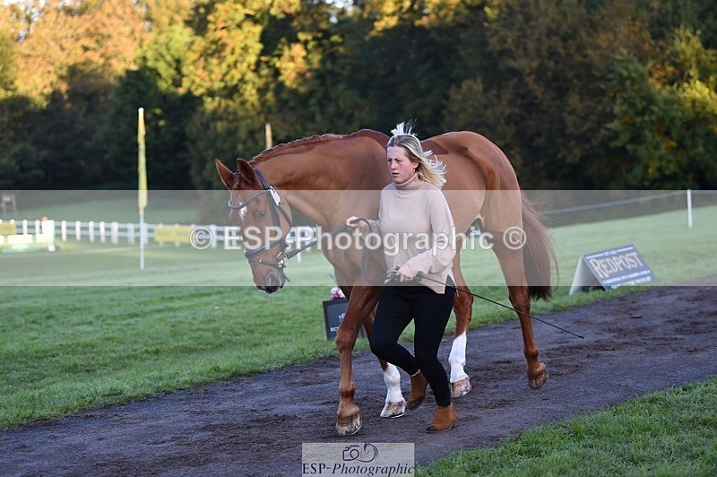 231022-084604-21344 - 625-KILTRA.ALFY-Abi.Meredith-TrotUp+SJ