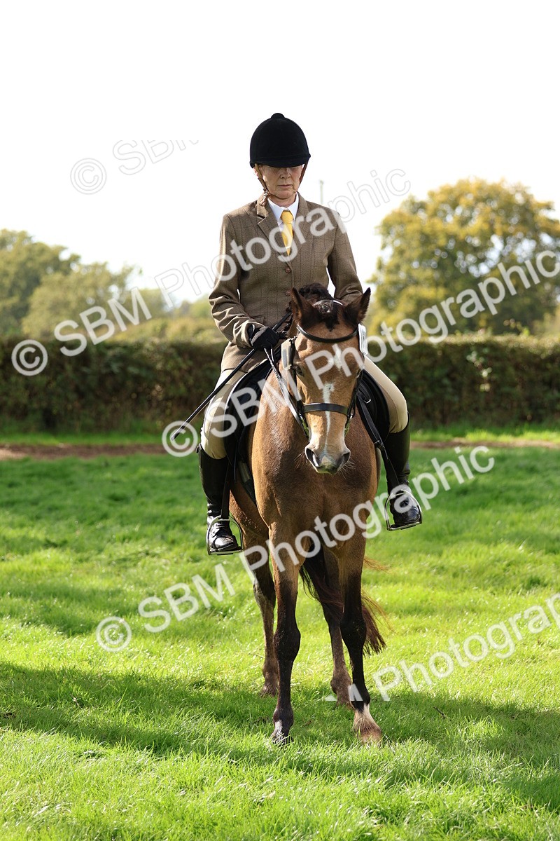 SBM_47724 - S28 - Veteran Ridden