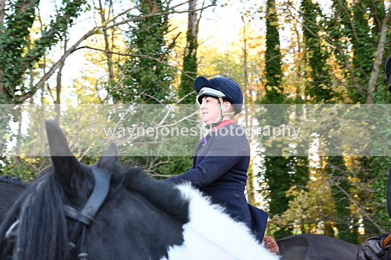 WJ6_9661 - Walk Home