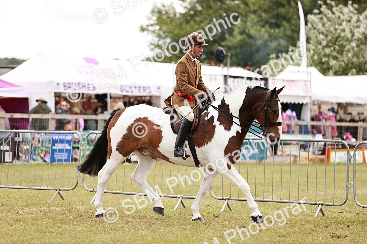 SBM_14072 - Class 85-87 - RIHS Cobs