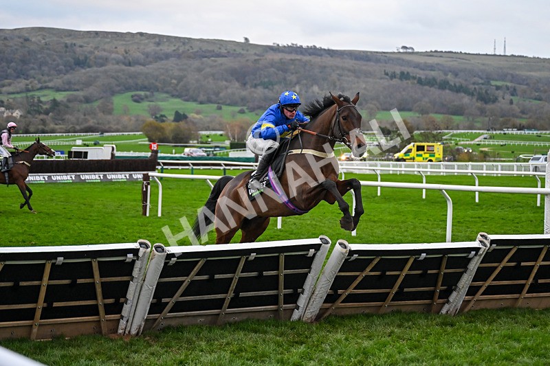 161125-Race 5-No Ordinary Joe-6437 - Race 5