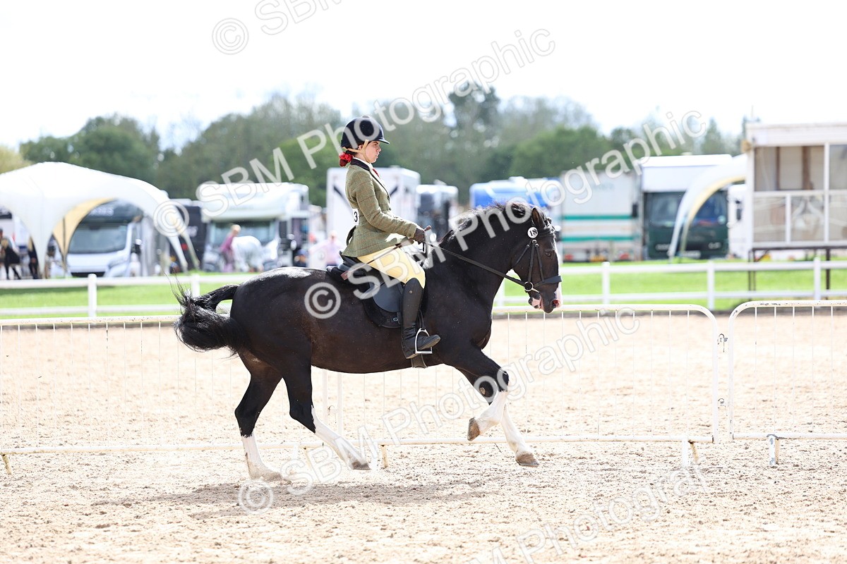 SBM_15795 - Class 314 - Family Horse - Pony
