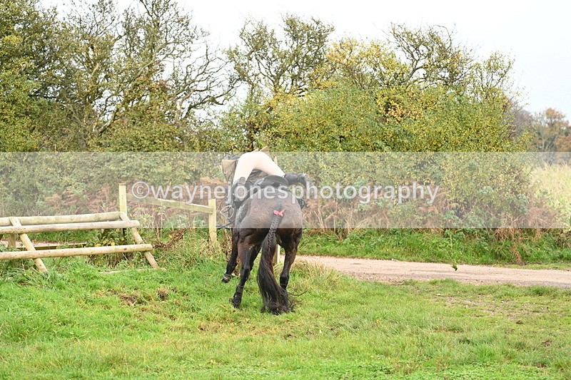 WJ7_0426 - Camera 1 & Last fence
