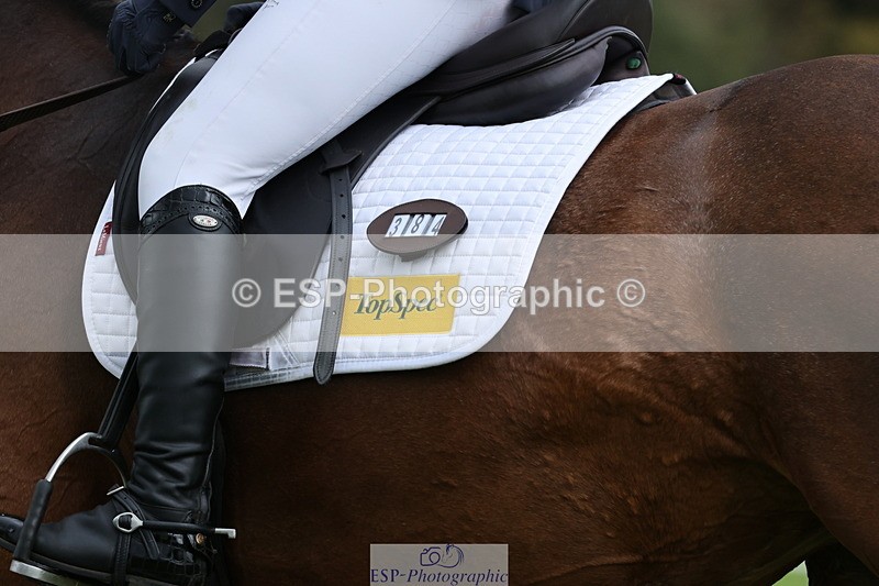 251023A-115024-03429 - E-384-Holly.Horton