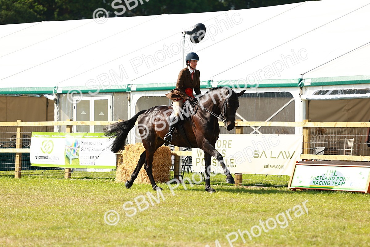 SBM_11962 - Class 66-69 - RIHS Ridden Hunters Inc Small Hunter