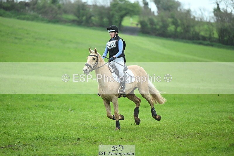 250419-130015-10722 - 523-Kate.Hicks-SWALLOWCROFT.STARDUST