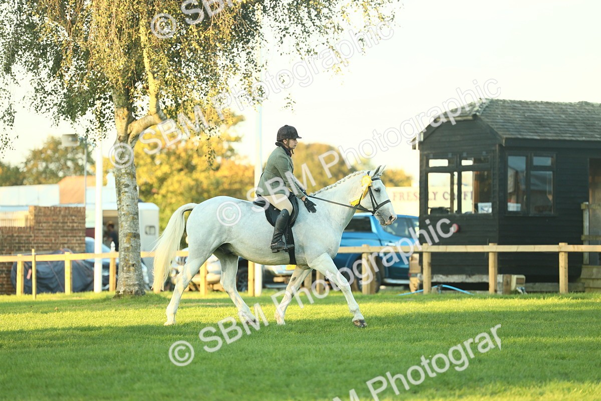 SBM_56595 - S14 - Riding Club Horse