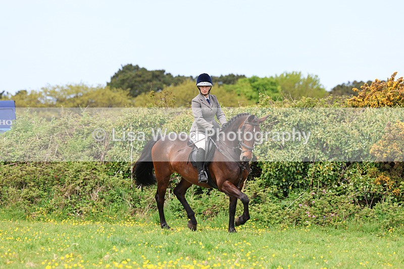 3E7A1230 - Class 7: Ridden Hunter Type