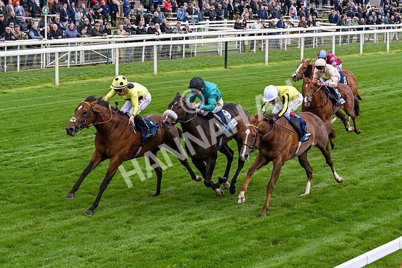 140526-Race 6-Dickensian-0343 - Race 6 4.40pm British Stallion Studs EBF Westow Stakes